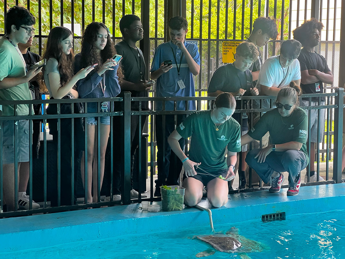 From Classroom to Coastline: McArthur’s 3DE Students Explore Marine Conservation